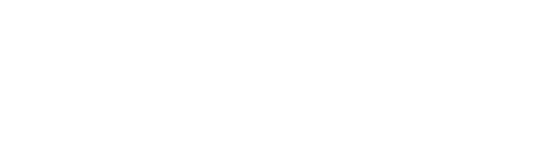 Vellum Capital logo